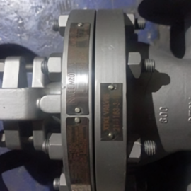 Válvula Compuerta XTKL 3 Pulg Clase 300 - API 600 / Trim 12 RF