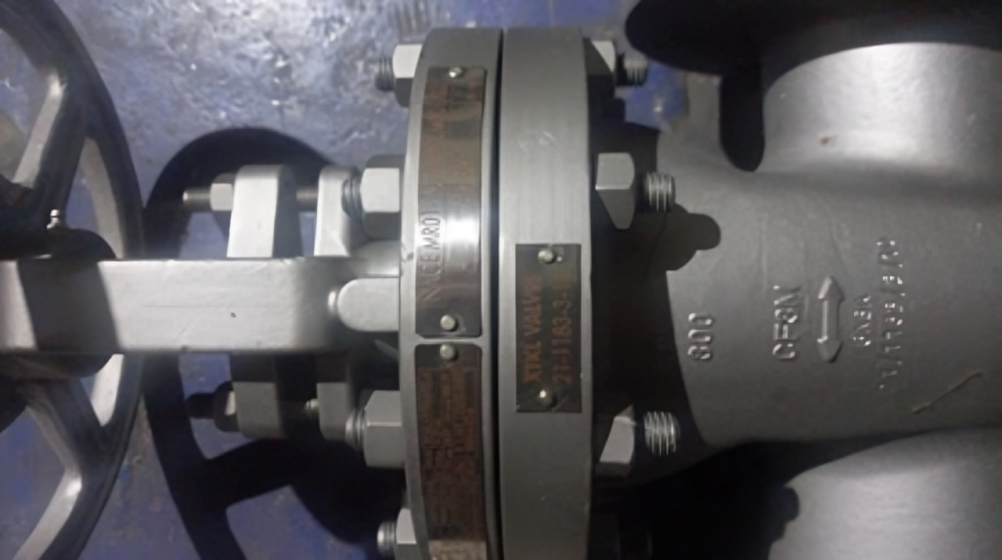 Válvula Compuerta XTKL 3 Pulg Clase 300 - API 600 / Trim 12 RF